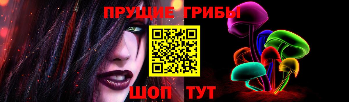 Галлюциногенные грибы Psilocybe  Вход с VPN  Псилоцибиновые грибы Magic Shrooms  как найти закладки  Тутаев 
